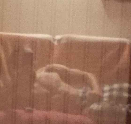 Madiba - Brunehaut - Hainaut | Annonce Rencontre