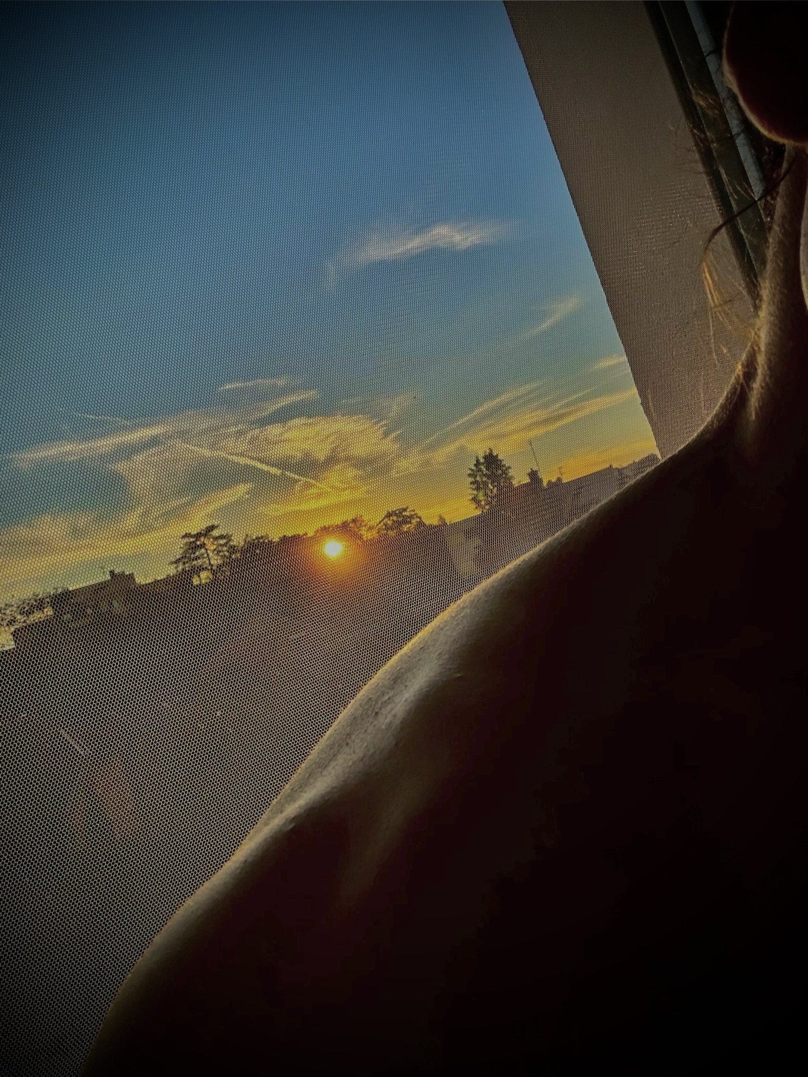 Alvin - Hemiksem - Anvers | Annonce Rencontre