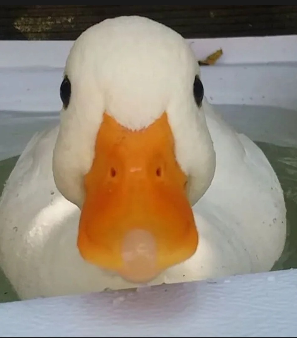 Isha - Manage - Hainaut | Annonce Rencontre