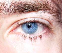 Naser - Saint-Vith - Liège | Annonce Rencontre